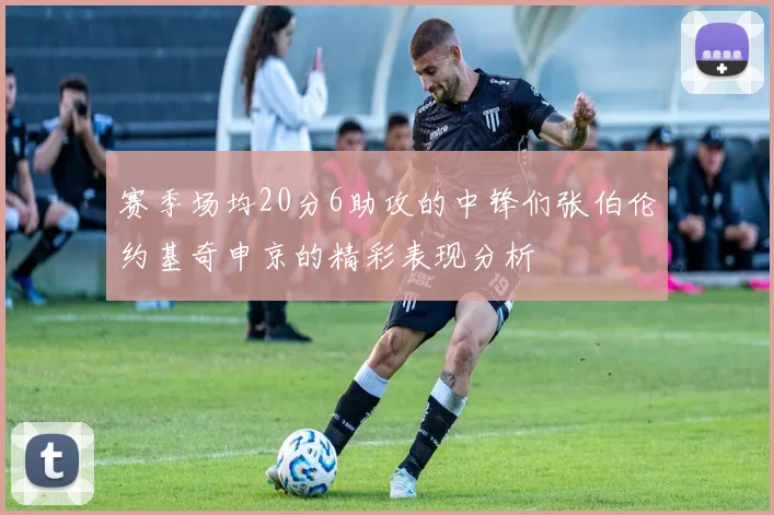 赛季场均20分6助攻的中锋们张伯伦约基奇申京的精彩表现分析